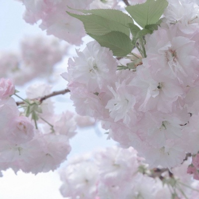 Furry创作脑洞合集FurryQQ群